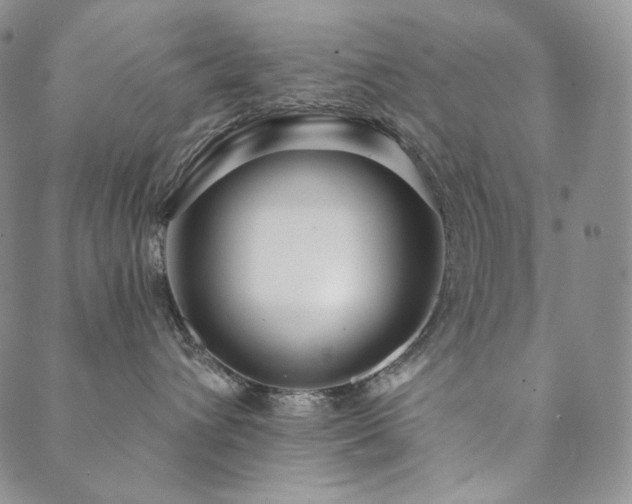 X0000089880432200706281354