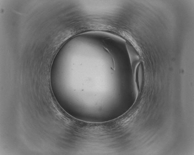 X0000089880433200706281353