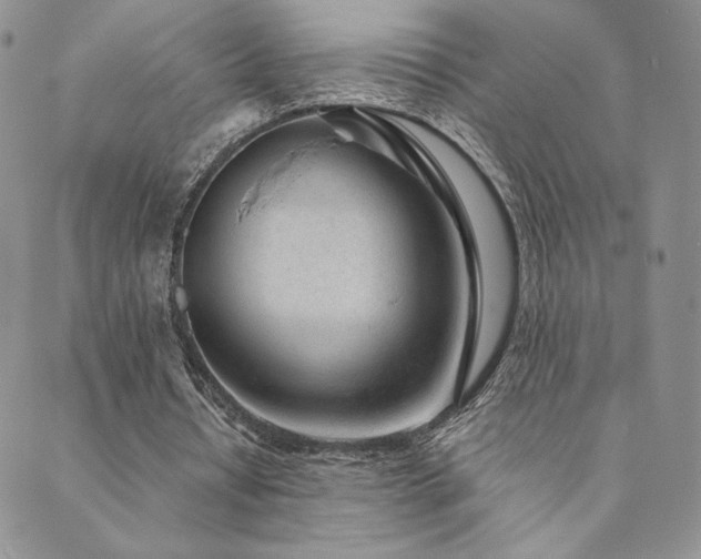 X0000089880434200706281353