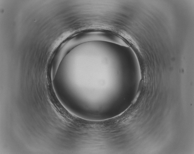 X0000089880436200706281353