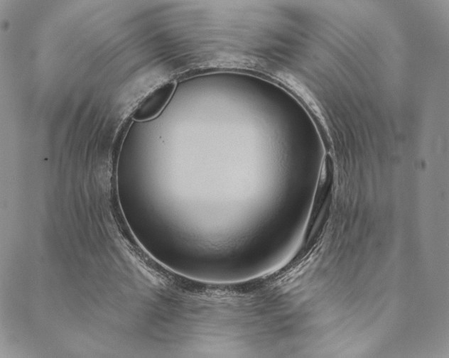 X0000089880437200706281353