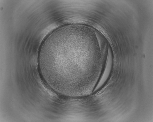 X0000089880438200706281353