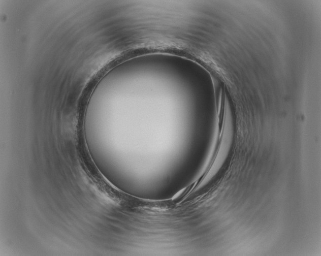 X0000089880440200706281353