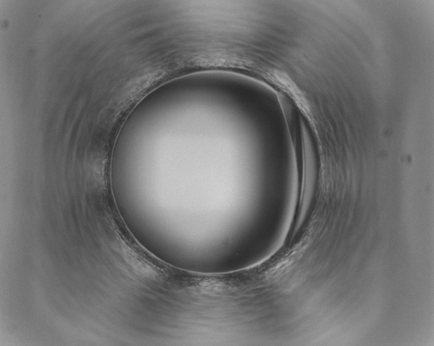 X0000089880441200706281353