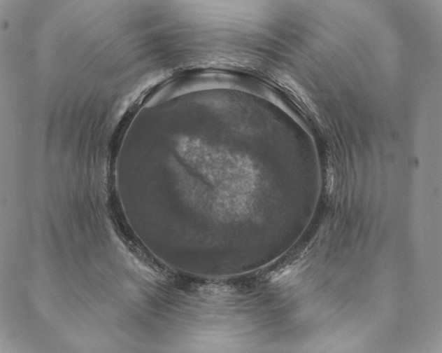 X0000089880444200706281354