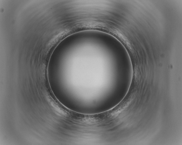 X0000089880445200706281354