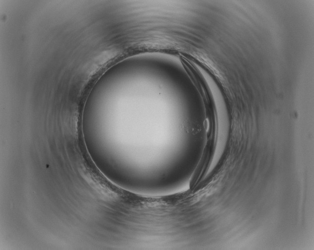 X0000089880446200706281354