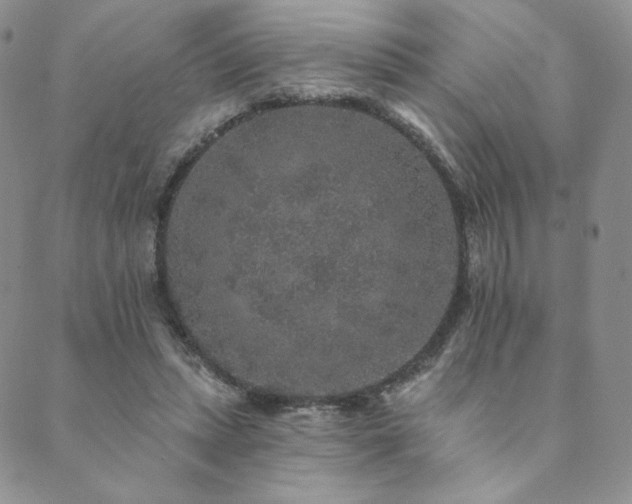 X0000089880447200706281354