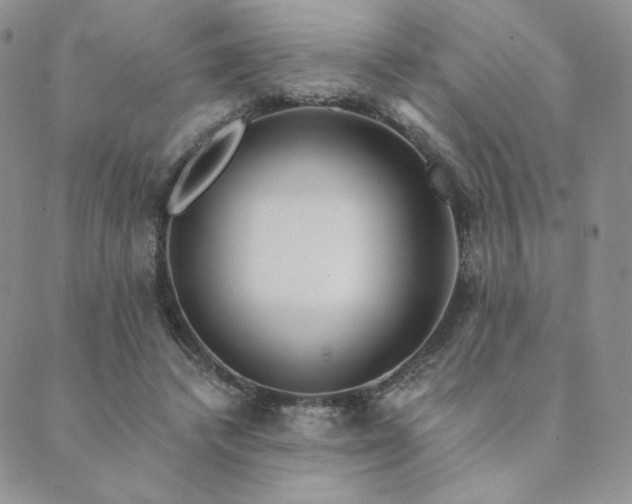 X0000089880448200706281354