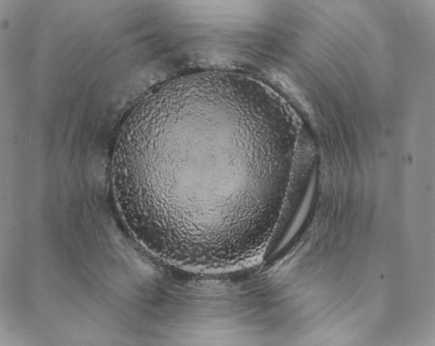 X0000089880449200706281354