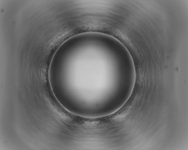 X0000089880450200706281354