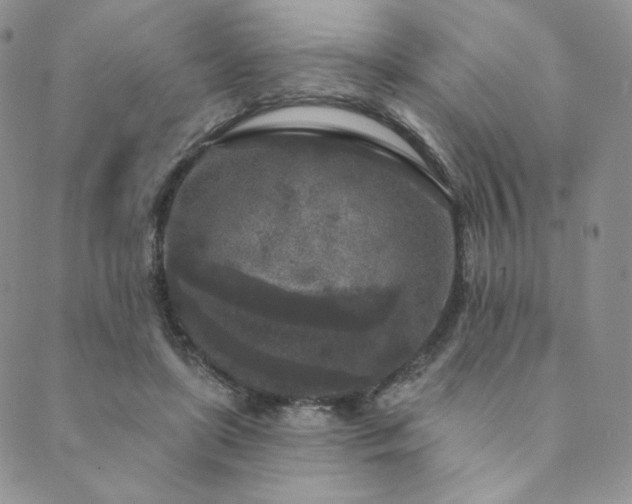 X0000089880451200706281354