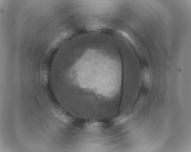 X0000089880452200706281354