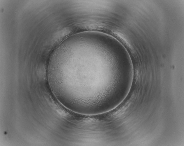 X0000089880453200706281354