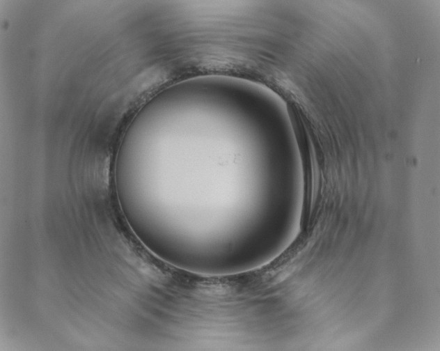 X0000089880454200706281354