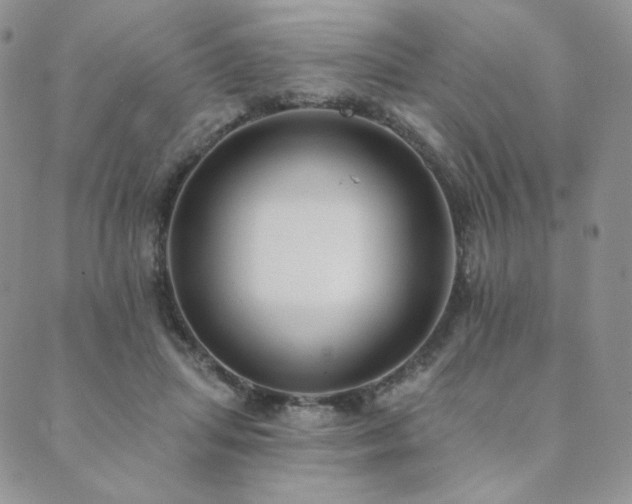 X0000089880455200706281354