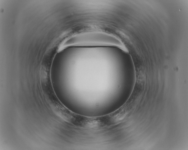 X0000089880456200706281354