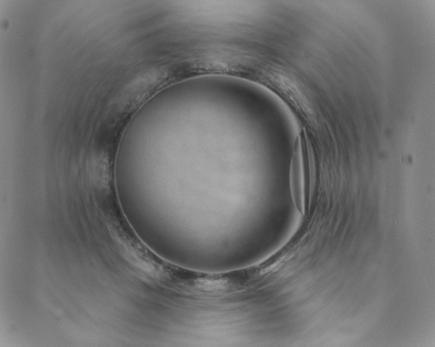 X0000089880457200706281354