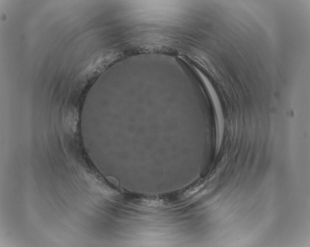 X0000089880458200706281354