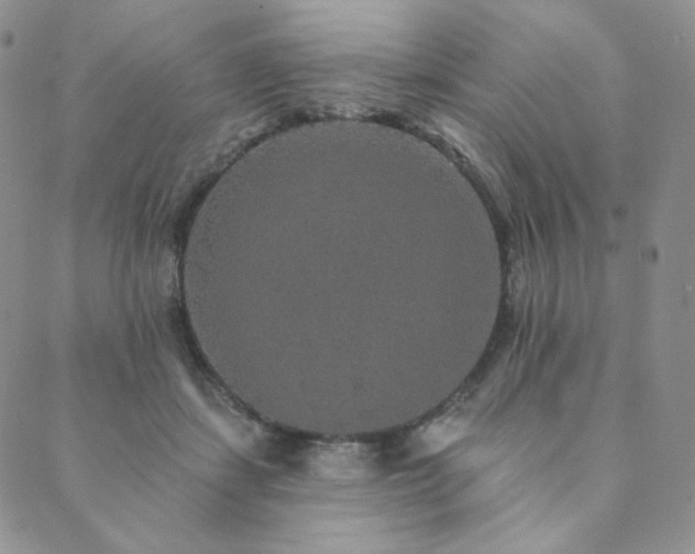 X0000089880459200706281354