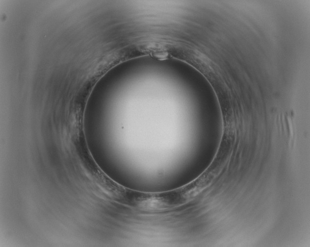 X0000089880460200706281354