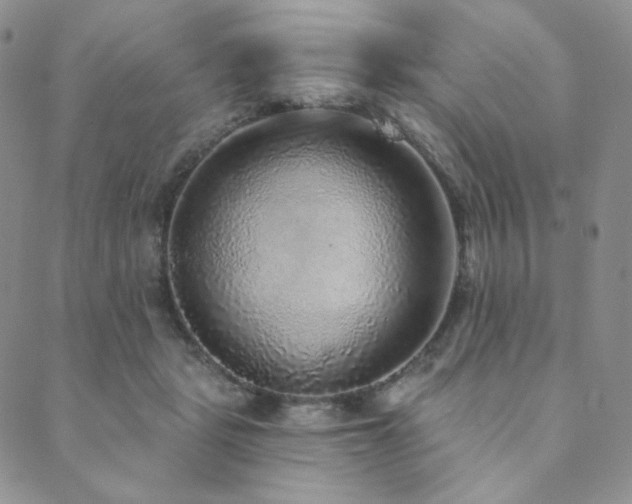 X0000089880461200706281354