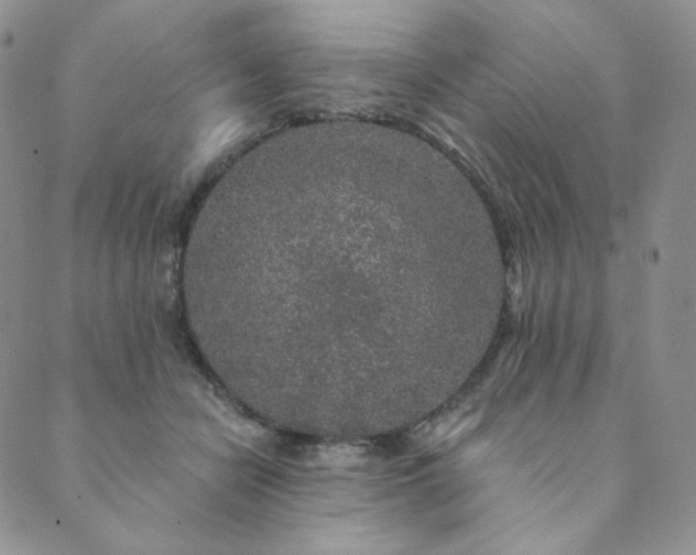 X0000089880462200706281354