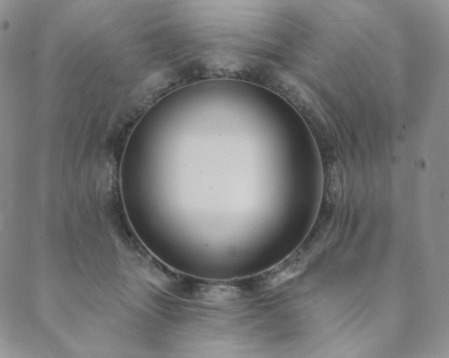 X0000089880463200706281354