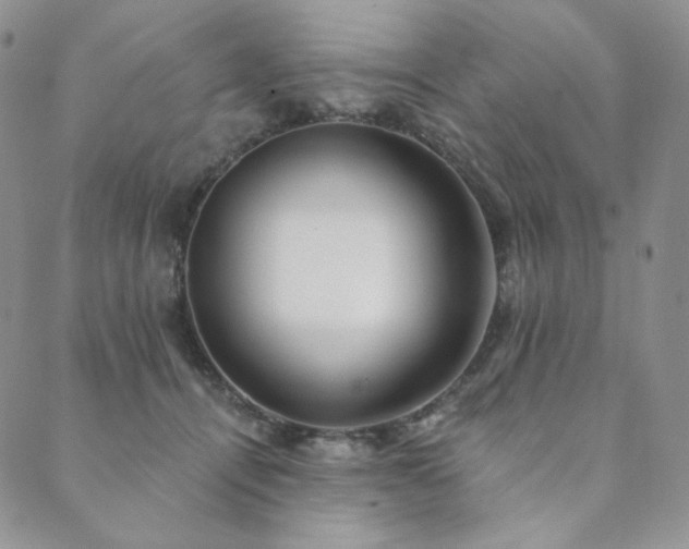 X0000089880464200706281354