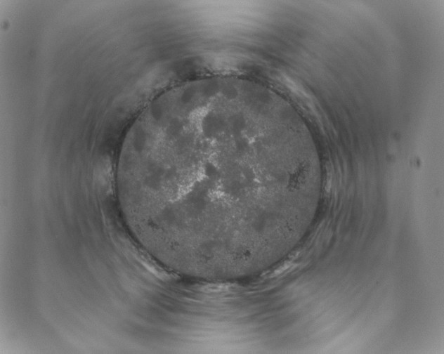 X0000089880465200706281354