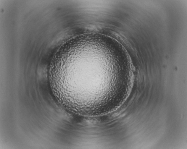 X0000089880466200706281354