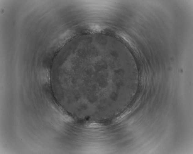 X0000089880467200706281354