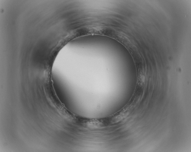 X0000089880468200706281354