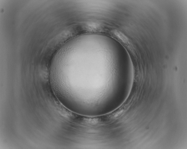 X0000089880469200706281354