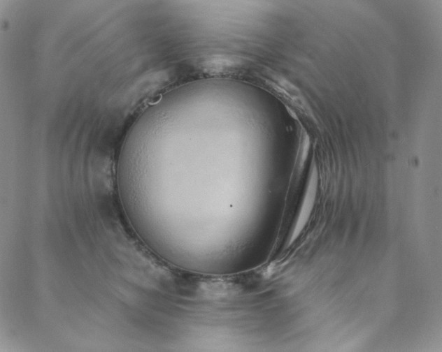 X0000089880470200706281354