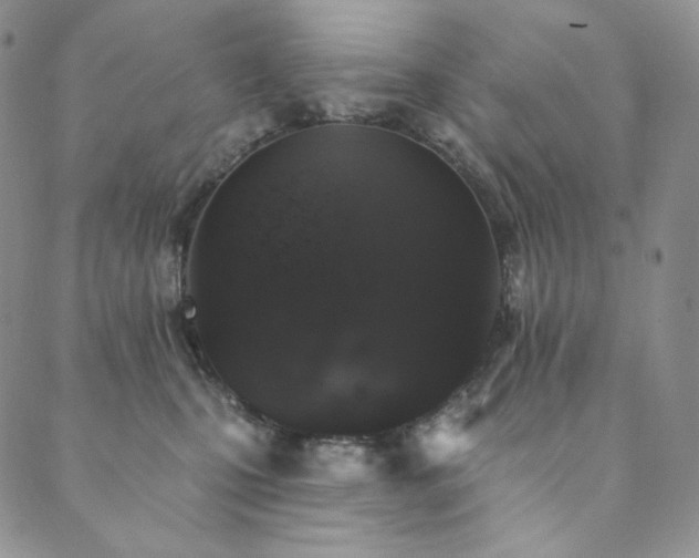 X0000089880471200706281354