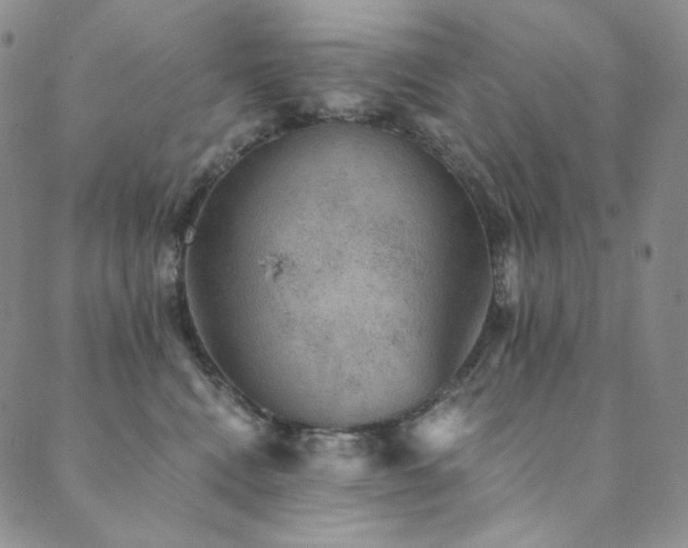 X0000089880472200706281354