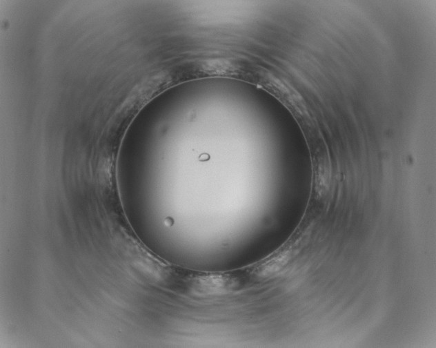 X0000089880473200706281354