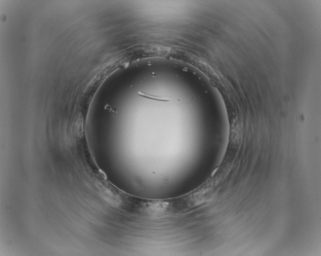 X0000089880474200706281354