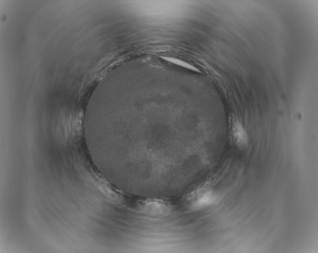 X0000089880475200706281354