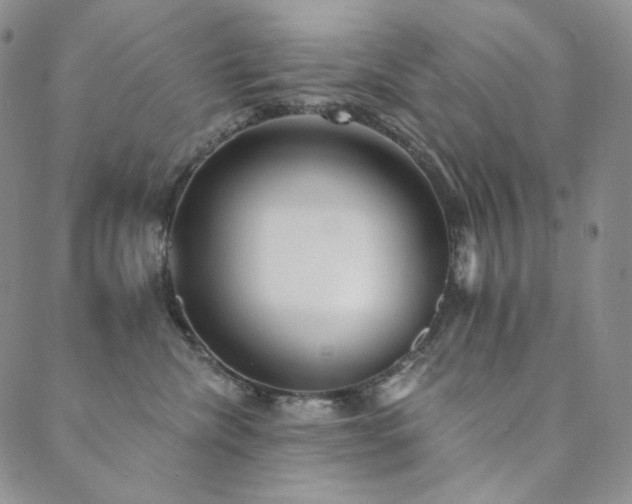 X0000089880476200706281354