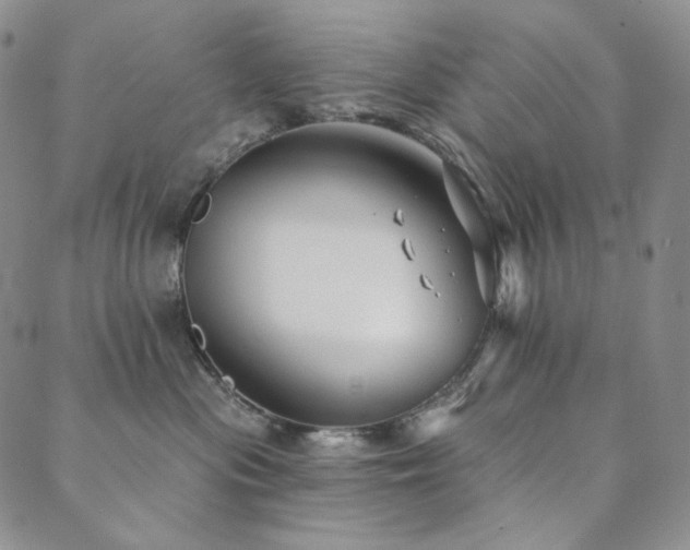 X0000089880477200706281354