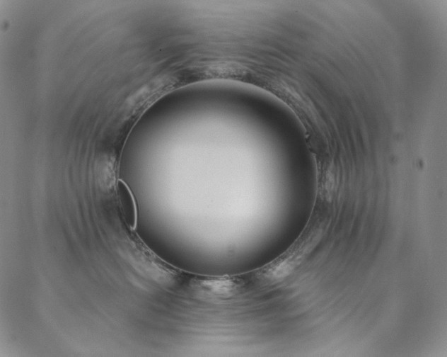 X0000089880478200706281354