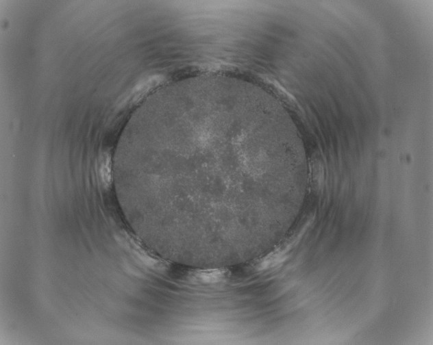 X0000089880479200706281354