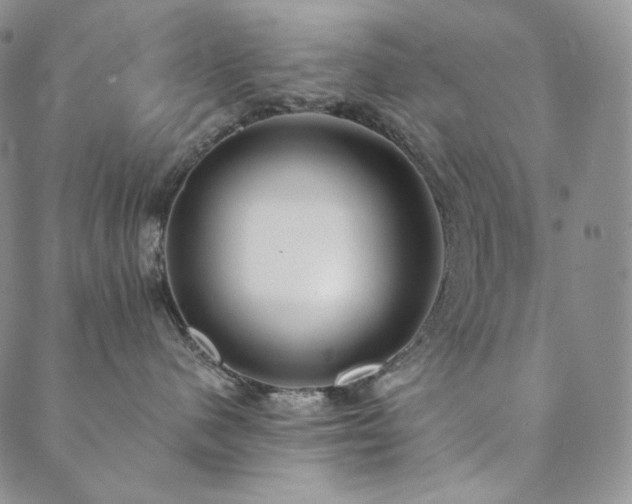 X0000089880480200706281354