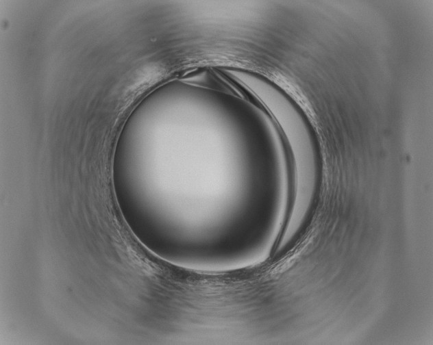 X0000089880481200706281353