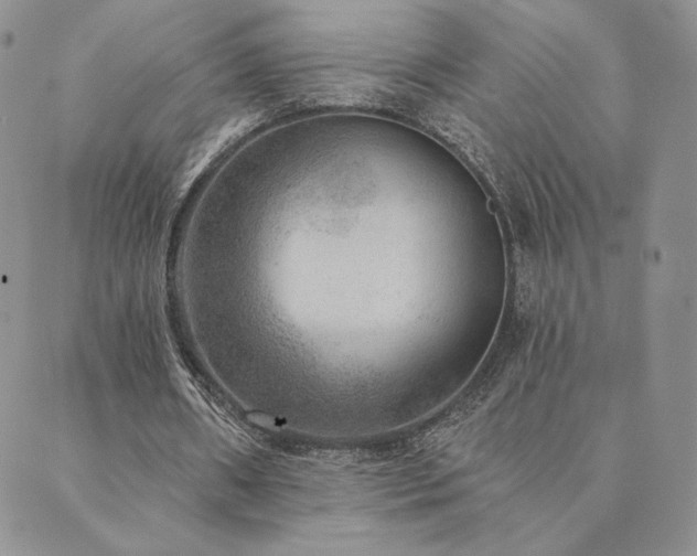 X0000089880482200706281353