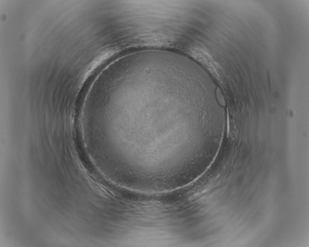 X0000089880483200706281353