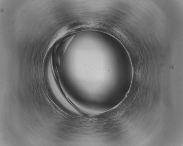 X0000089880484200706281353