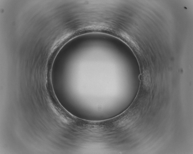 X0000089880486200706281353